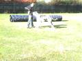 alano esegue target mano.wmv