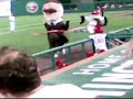 Presidents Race - Teddy Roosevelt Disqualified Presidents Race - Teddy Roosevelt Disqualified
