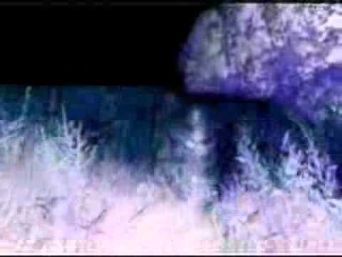 Video Escape