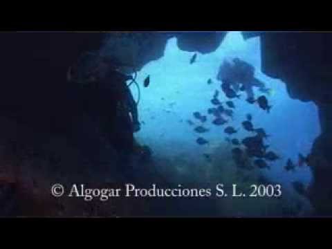 Marine reserve of Canary Islands