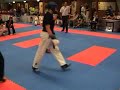 Yokoso WAKO Dutch Open 2008