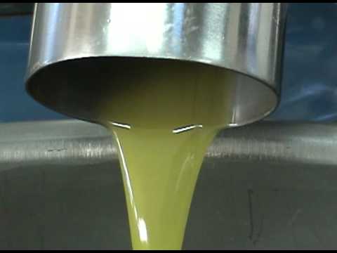 how to extract olive oil