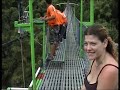 mishmish jumping off a bridge2