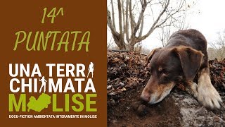 14ª Puntata - Una terra chiamata Molise