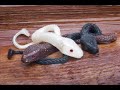 Free Fishing lures and Big fish bites on them
