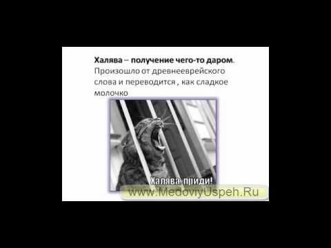 0 Выбирайте: смеяться или нет!