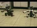 God Rest Ye Merry Gentlemen ~ an aibo xmas dance