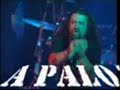 A PALO SEKO . GRAZIAS A AL SOZIEDAD.wmv A PALO SEKO . GRAZIAS A AL SOZIEDAD.wmv