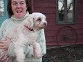 Chien Gaieté ...