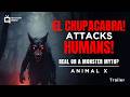 Animal X NMU El Chupacabras Promo