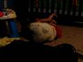 videos de caio antes de nanar
