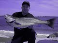 New Jersey Backwater Beauties
