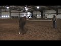 Classy Frenchman - Trot Circles Again