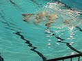 natation synchronisé 2