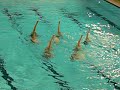 natation synchronisé 2