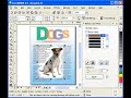 Bitmap Masking in CorelDraw X3 Bitmap Masking in CorelDraw X3