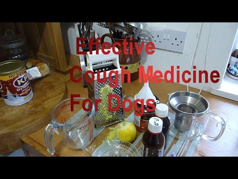 how to cure a cough in a 2 yr old