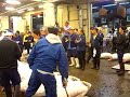 Tsukiji fish market - Tokyo Fish Market and Frozen  Auction