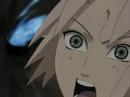 sasori tribute [ hikari sasuhou ]