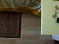 Avignon Hotel Monclar - room 5