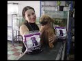 Adopciones AHURA
