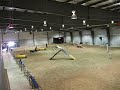 Canadian Agility - Teo - Groenendael