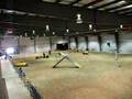 Canadian Agility - Teo - Groenendael