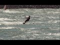 Kiteboarding at Mary Hill