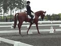 Colleen and Shiraz, Dressage, 2012 Fork Horse Trials