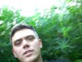 Kiffen Hanfplantage Hanf Hanfwiese Kiffer Bong Haschisch Hasch