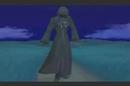 Kingdom Heart video