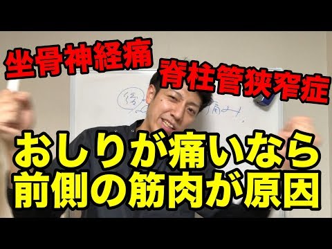 生理 前 おしり が 痛い 前 おしり が 痛い 生理