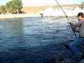 sturgeon fishing