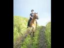 Mikkola and me