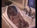 funny baby clip