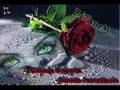 Ge�en Y�l