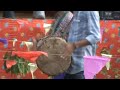 Kirat Rai Chandi Dance - BHADRAPUR