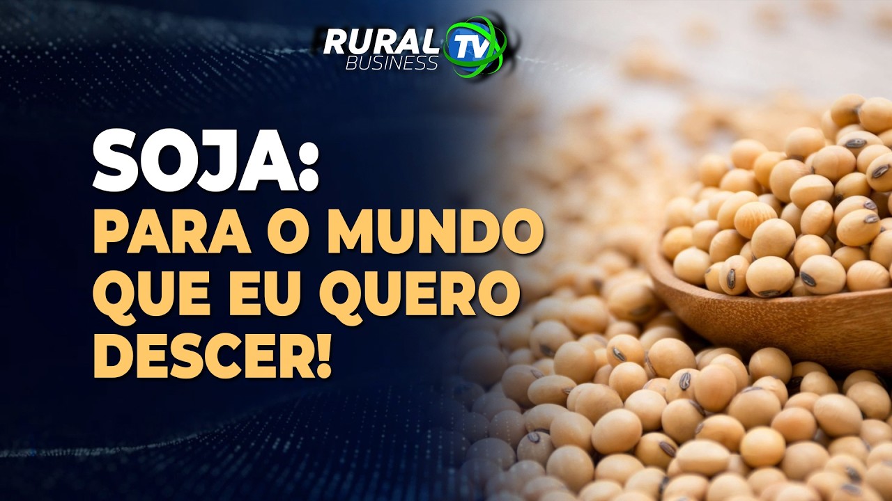 SOJA: PARA O MUNDO QUE EU QUERO DESCER!