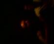 Viernes Fiesta