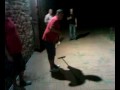 Partita di Curling