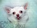cannes lions 2007  print 