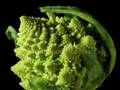 The-5-Best-Foods-on-