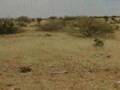 Darfur Genocide : an eye-witness account