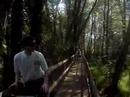 BTT NATURE