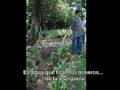La mineria nos deja sin agua!