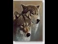 Luchs-Waldkatze-Wolf---Riqbulli-Macaeger-Ujku Luchs-Waldkatze-Wolf---Riqbulli-Macaeger-Ujku