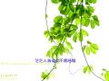 videos de 『最美的真愛』偶然遇上的驚喜－第四部曲（團契遊樂園推介詩歌）
