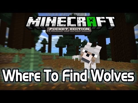 how to locate wolves