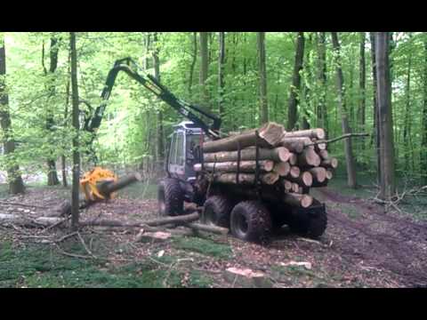 Bokgallring i Danmark med Malwa 460 3