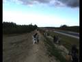 Sundsvall RaceWay top door slammer crash